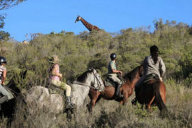 Horse riding tour